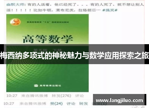 梅西纳多项式的神秘魅力与数学应用探索之旅